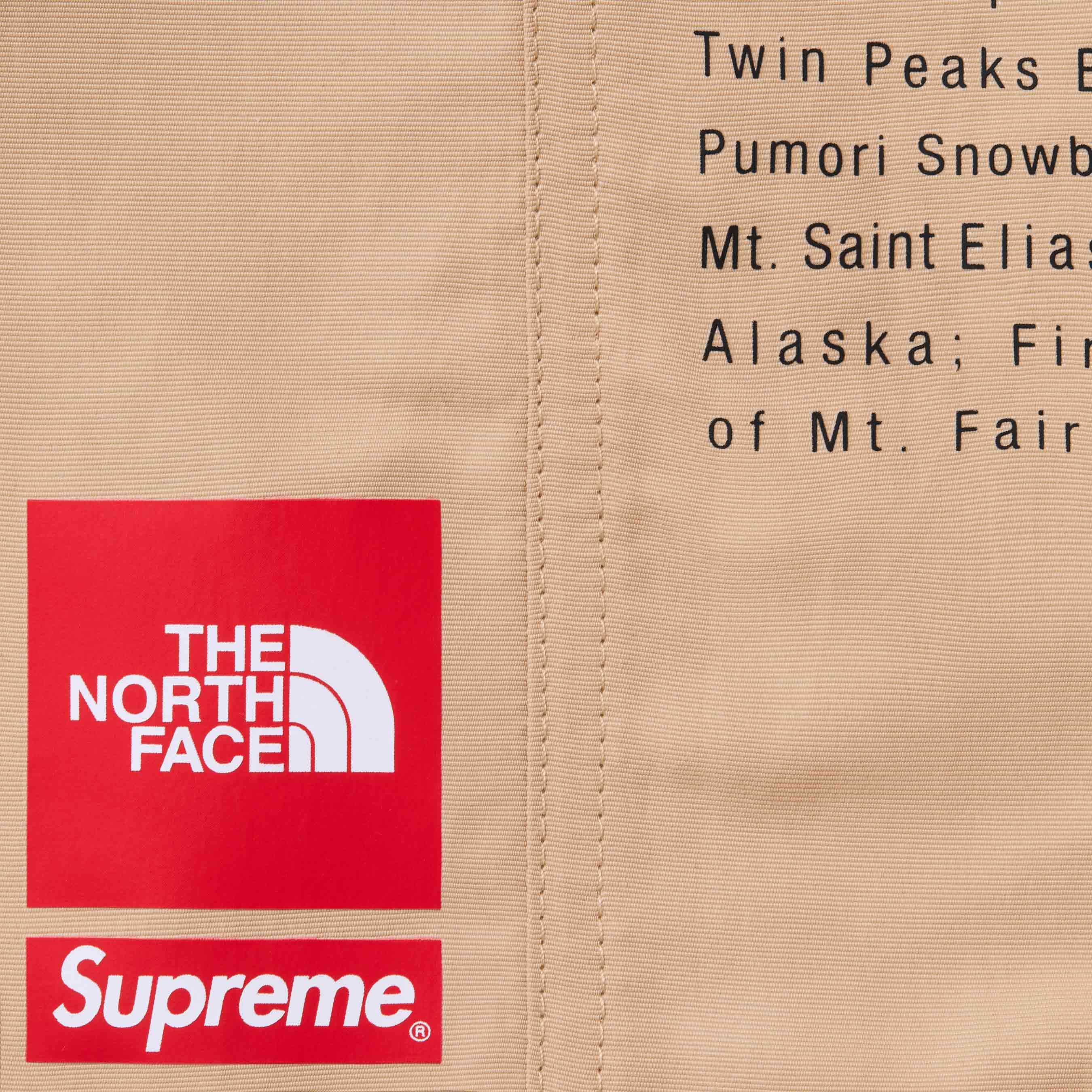 Supreme®/The North Face® Nylon Short view 17